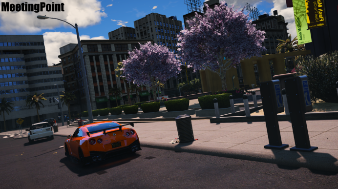 FiveM Mod